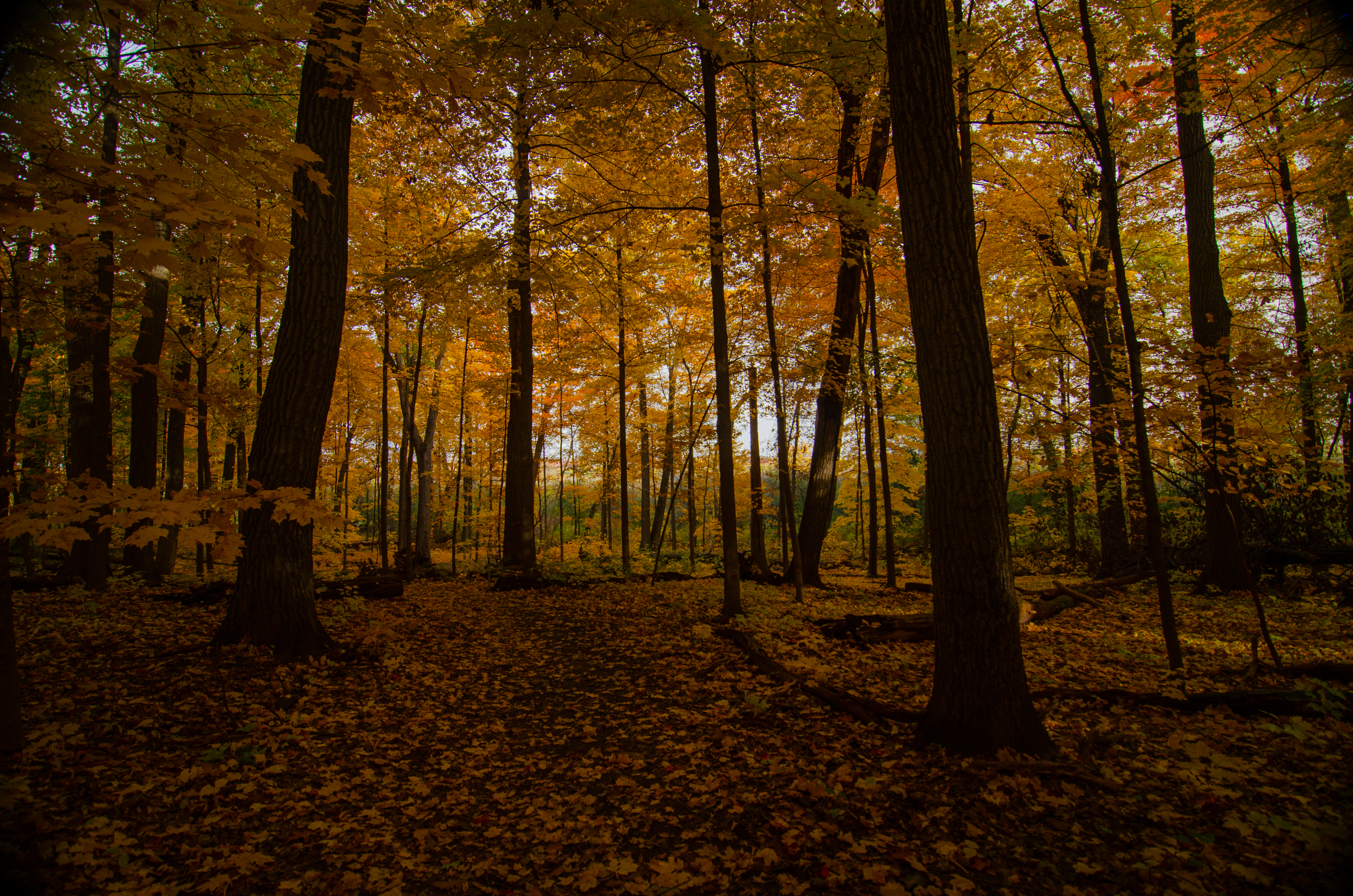 Slideshow 7